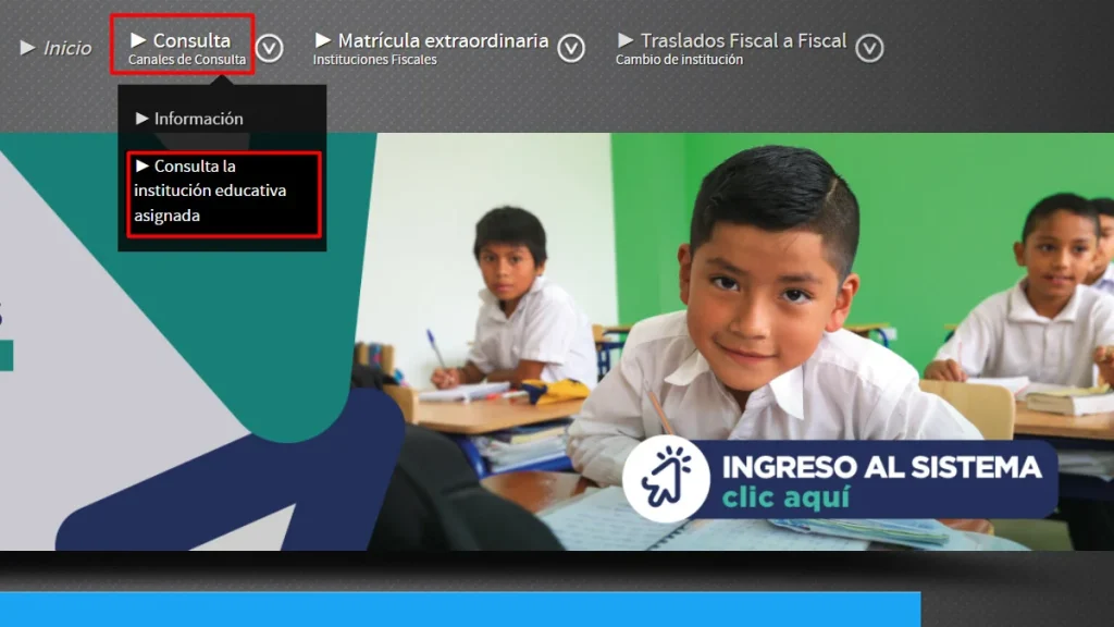 Consulta de institución